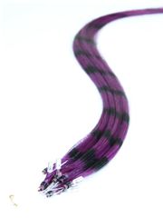 Feather Purple